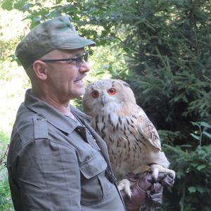 Eurasian Eagle-owl