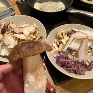 King Bolete