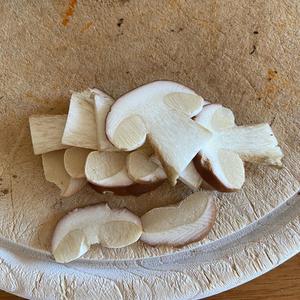 Bay Bolete