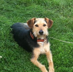 Unknown Breed