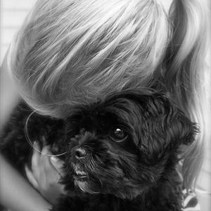 Unknown Breed