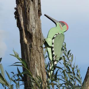 Eurasian Green Woodpecker