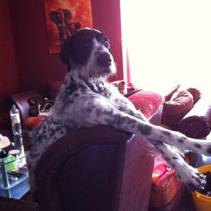 Unknown Breed