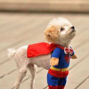 Unknown Breed