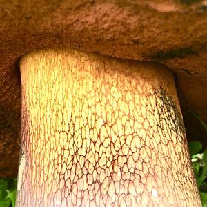 Lurid Bolete