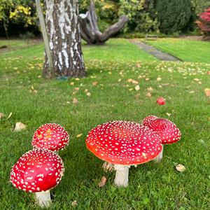 Fly Agaric