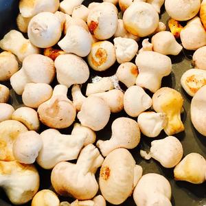 Gem-studded Puffball