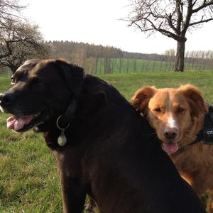 Unknown Breed