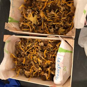 Trumpet Chanterelle