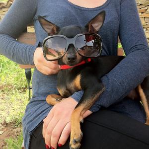Unknown Breed