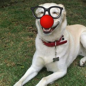 Unknown Breed