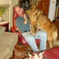 Leonberger