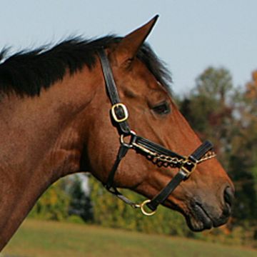 Hanoverian