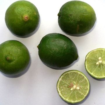 Lime (Mexican)