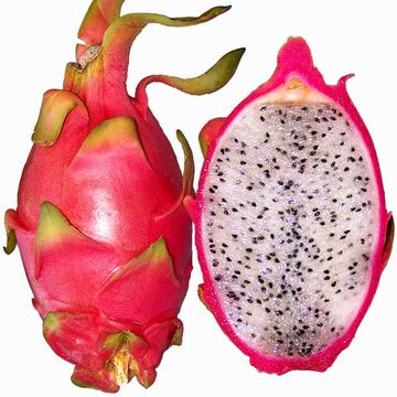 Pitahaya