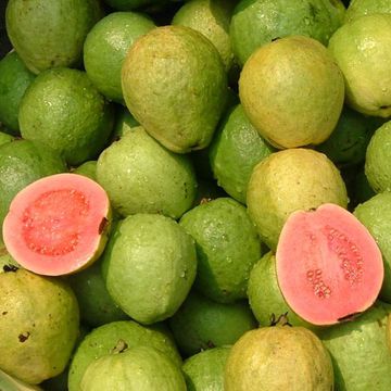 Guava