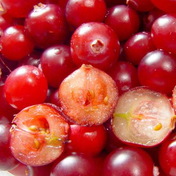 Cranberry