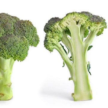 Broccoli