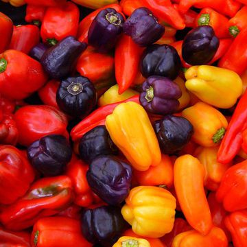 Capsicum annuum