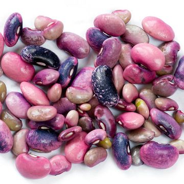Scarlet bean