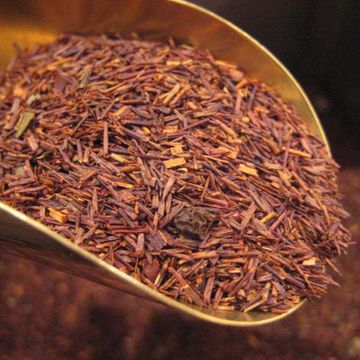 Rooibos