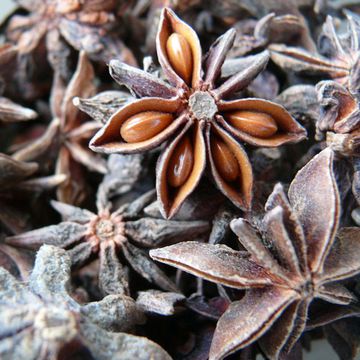 Star anise