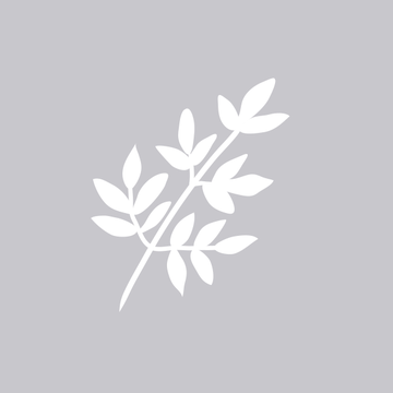 Hawthorn (Common)